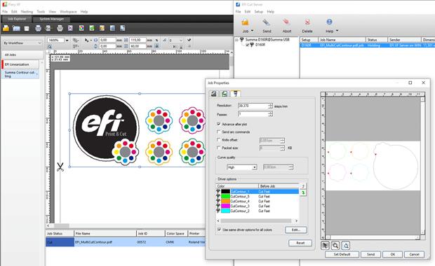 20160218 EFI in SA International
