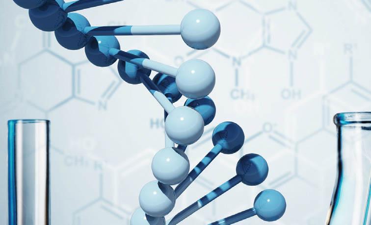 20170612 biopolimeri